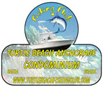 turtlebeachfishingclub.com